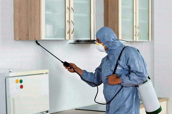 About Jaipur Pest Control