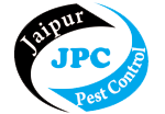logo of jaipur pest control
