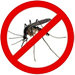 Image of Mosquito